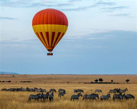 A Lone Hot Air Balloon Over A Herd Of Zebras Photograph By S Budiman