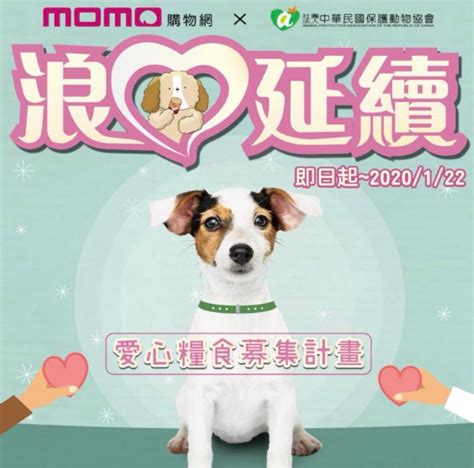 雙12做公益！momox好侶「浪愛延續 愛心糧食募集計畫」 社團法人中華民國保護動物協會