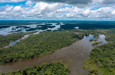 Река Амазонка — информация, фото, видео, карта