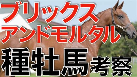 種牡馬ブリックスアンドモルタルの産駒傾向を考察！米国年度代表馬の実力とは？ Youtube