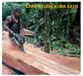 Cara Menghitung Kubik Kayu Dengan Mudah Dan Benar Rumah Otodidak