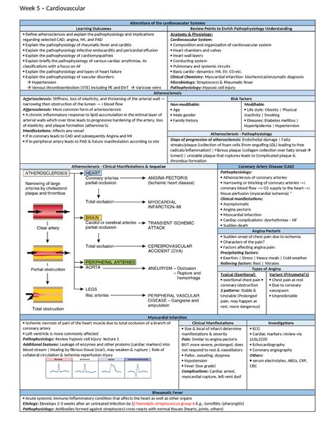 S Week Alterations Of The Cardiovascular Systems Alterations Of