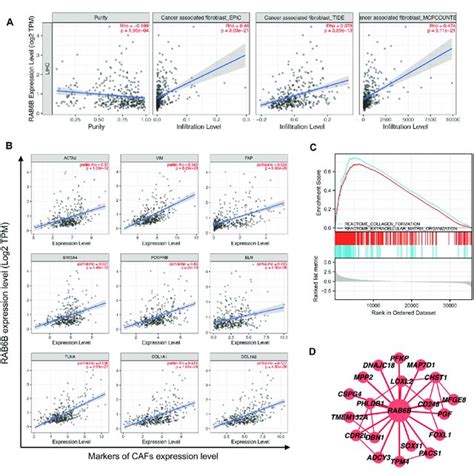 The Correlation Between Rab B Expression And Tumor Lymphocyte