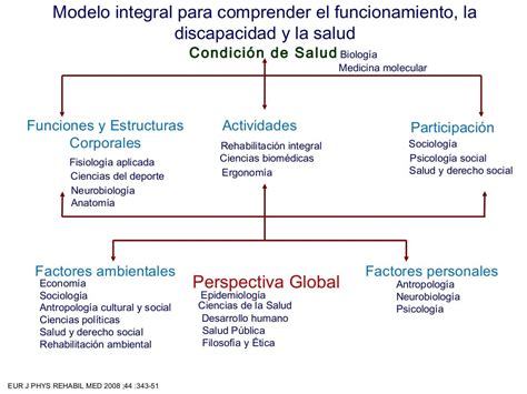 Clasificaciones Internacionales De Salud De La Oms Retos Futuros De