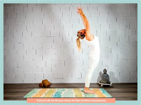 【saludo Al Sol ¡realízalo Paso A Paso】yogimi