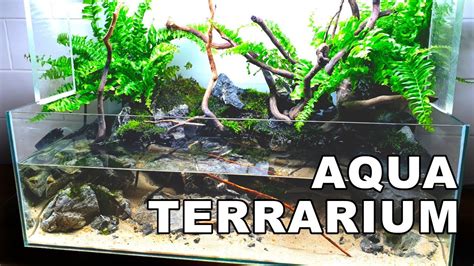 Aquaterrarium Le Guide Supr Me Univers Terrarium