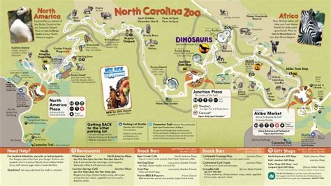 NC Zoo – Primate Behavior and Ecology