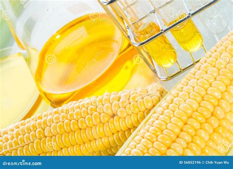 Biofuel Or Corn Syrup Sweetcorn Stock Photo Image Of Biochemistry