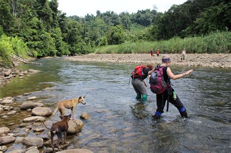 Field Trip To Malaysia And Indonesia Part 1