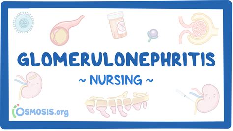 Glomerulonephritis Nursing Video Causes Osmosis