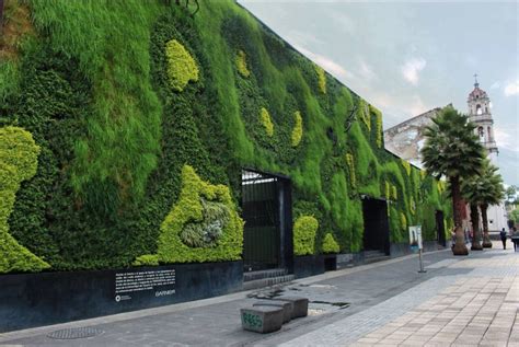 Best Green Walls In The World Vertical Garden Design Vertical Gardens