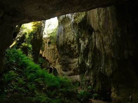 Phosphatières du Cloup dAural Cahors Vallée du Lot