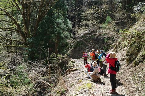 【終了】芦生研究林集合 トロッコ道コーストレッキングツアー 京都 美山ナビ 京都 美山ナビ 日本の原風景が残る京都・美山町の観光情報サイト