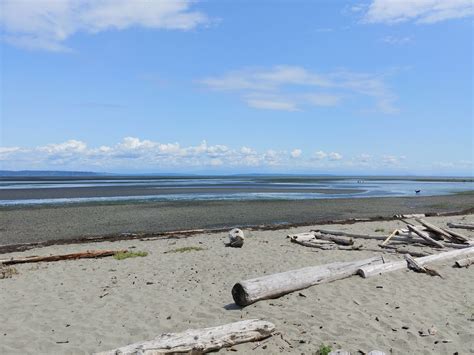 New conservation zones will protect boundary bay regional park delta 9