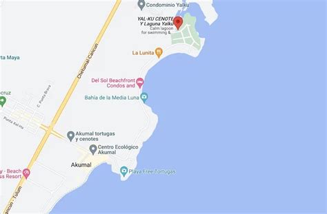 visiting  yal  lagoon  akumal mexico stella  paradise