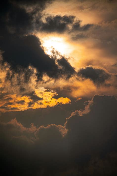 Silhouette Photo of a Sky and Trees · Free Stock Photo