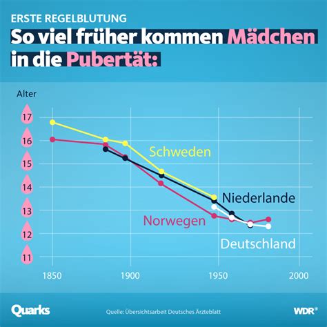 Darum kommt Pubertät immer früher quarks de