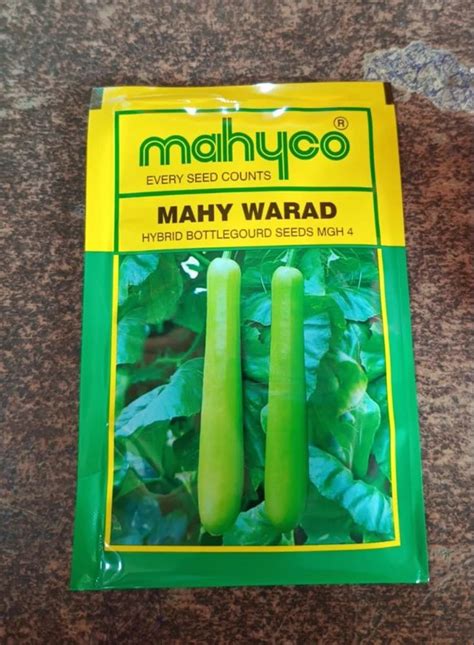 Brown Mahy Warad Hybrid Cucumber Seeds Packaging Type Packet At