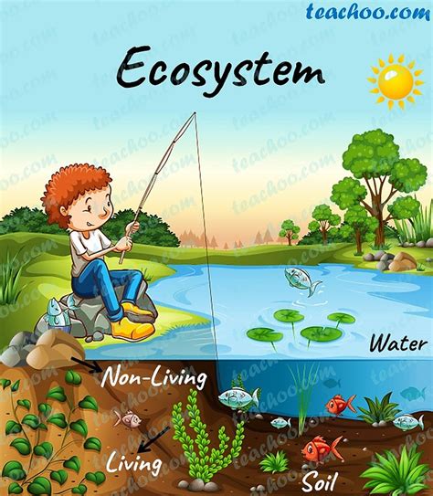 10 Examples Of Ecosystems