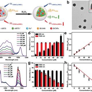 In Vivo Ratiometric NIRII FL PA Imaging Of H2O2 In Lymphatic