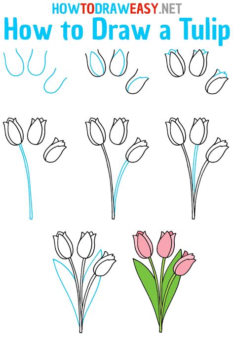 How To Draw Tulips Draw For Kids