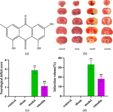 Network Pharmacology Experiments Show That Emodin Can Exert A