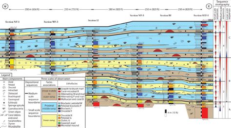 West East Cross Section Showing The Facies Distribution And Sequence