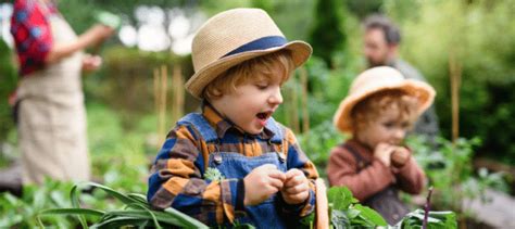 Comment créer un jardin écologique et respectueux de l environnement