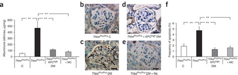 Apc Dependent Inhibition Of Apoptosis Prevents Nephropathy In Diabetic