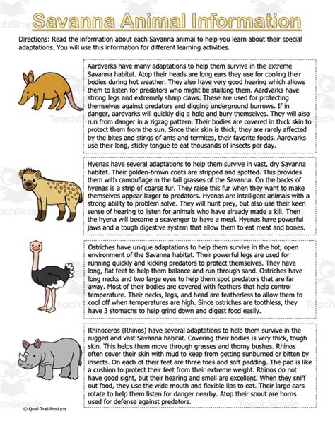 Savanna Animals Adaptations Worksheets by Teach Simple