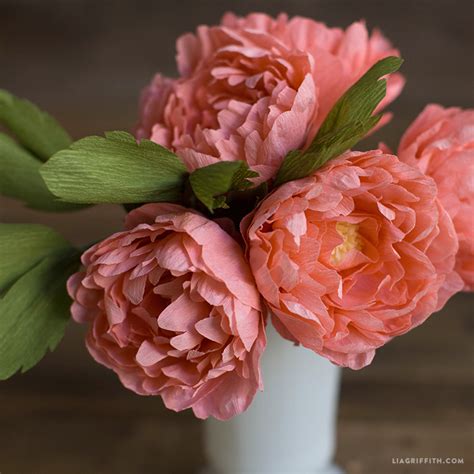 Video Crepe Paper Sarah Peonies Lia Griffith