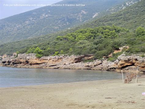 Cala Di Forno Spiaggia