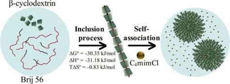 βCD 和非离子表面活性剂 Brij 之间主客体复合物的形成和自缔合 Journal of Molecular Liquids X MOL