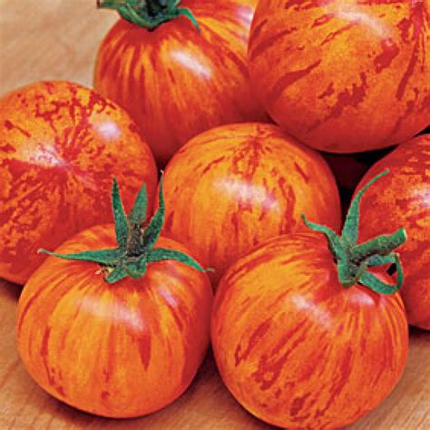 Tomate Red Zebra Dinkos