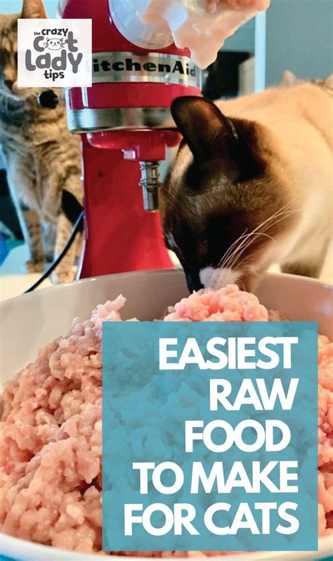 Easiest Raw Food To Make For Cats Raw Cat Food Diet Best Cat Food Homemade Raw Cat Food