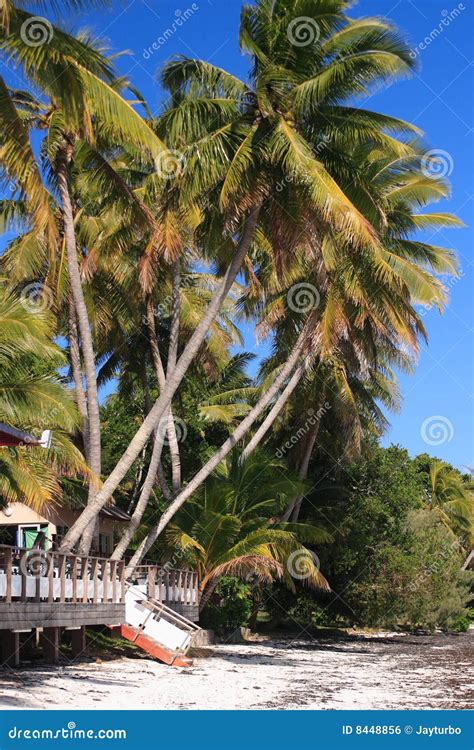 Kuto Beach Stock Photo Image Of France South Veranda 8448856