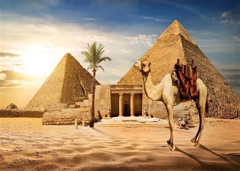 Amazon LFEEY 7x5ft Egyptian Pyramids Backdrop Egypt Ancient