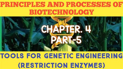 Tn Th Bio Botany Chapter Principle And Processes Of Biotechnology