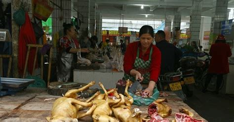 Video Mini Gossip Gossip Lanka News Hot Gossip Hiru Gossip