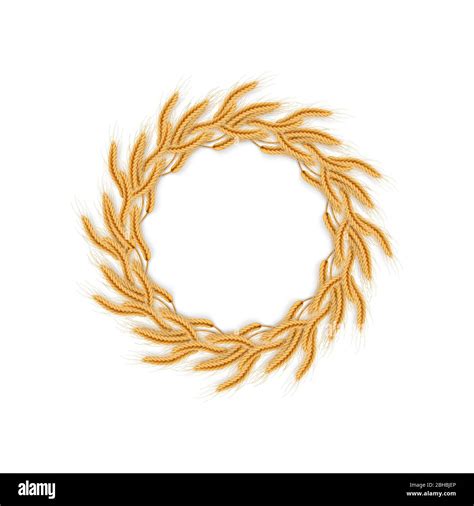 Wreath With Wheat Ears Frame Of Spikelets Eps 10 Stock Vector Image