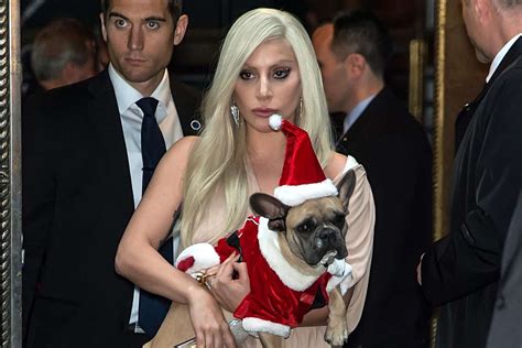 Lady Gaga's dog walker Ryan Fischer breaks silence on attack