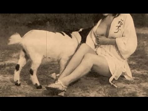Tabú vintage coño y perro XVIDEOS