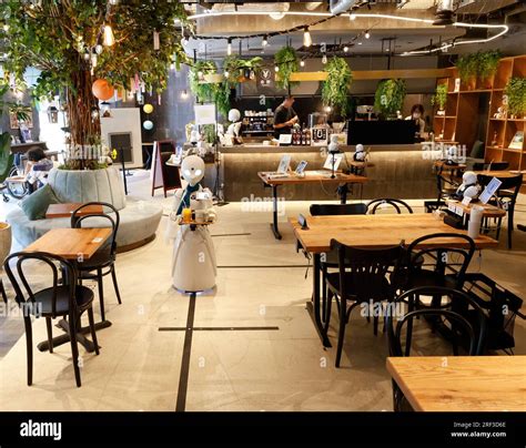 DAWN AVATAR ROBOT CAFE TOKYO Stock Photo - Alamy