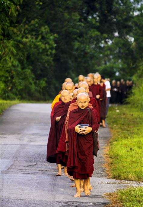 Free photo: sangha in line, pindacara, pindapata, theravada monks, alms ...