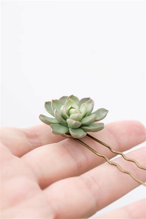 Pcs Green Succulent Hair Pins Hairpin Bobby Pins Hair Buy Etsy