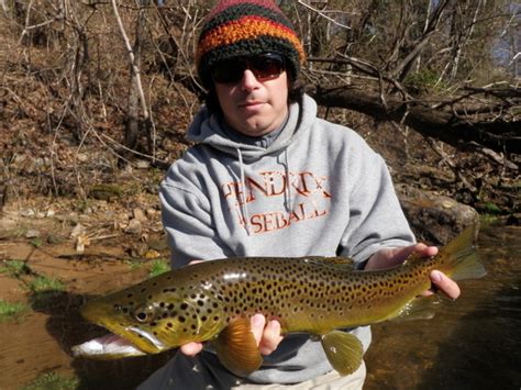 Gabe Levin Dallys Ozark Fly Fisher