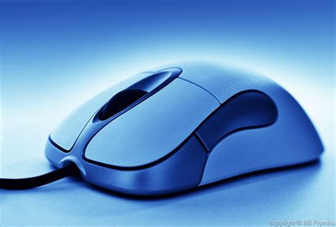 computer mouse