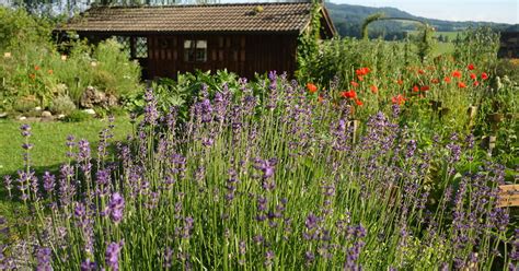 Unser Kr Utergarten In Anthering Sch Ne Heimat Fotoblog Sn At