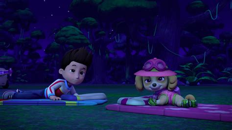 Image Paw Patrol 315 Scene 67 Ryder And Skyepng Paw Patrol Wiki