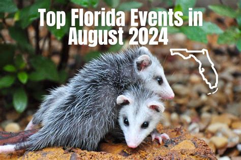 Top Florida Events In August Authentic Florida